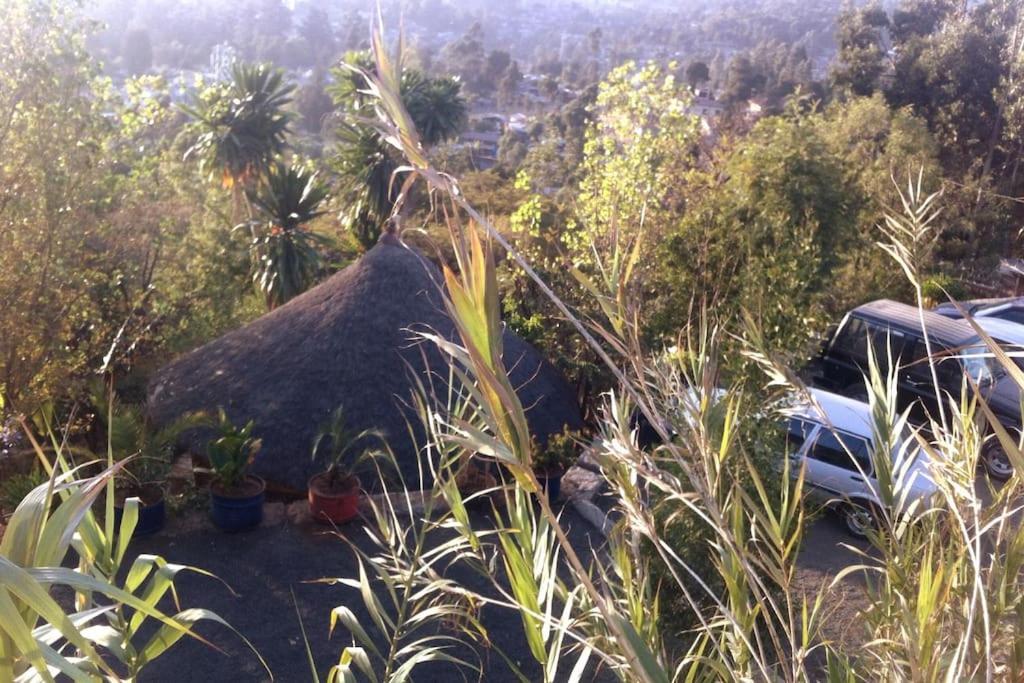 Sunshine H. C. Apartments Addis-Abeba Extérieur photo